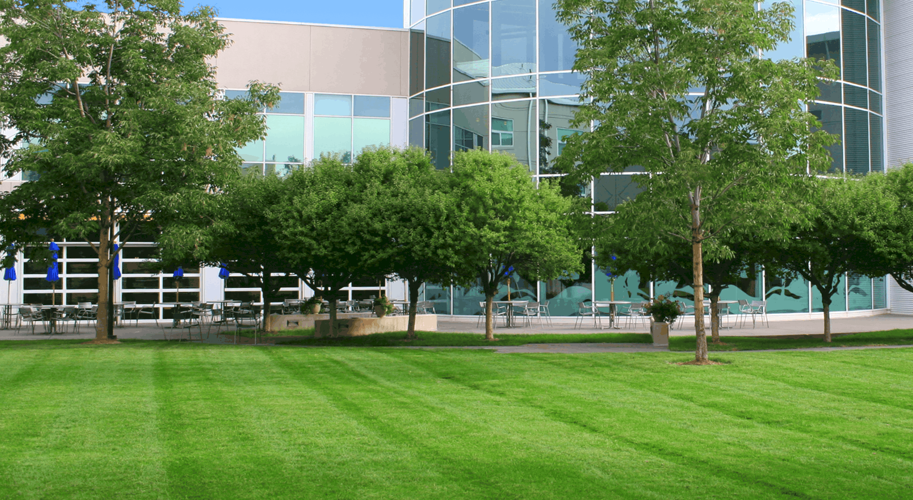 Commercial landscape maintenance by North Ridge Outdoor Services