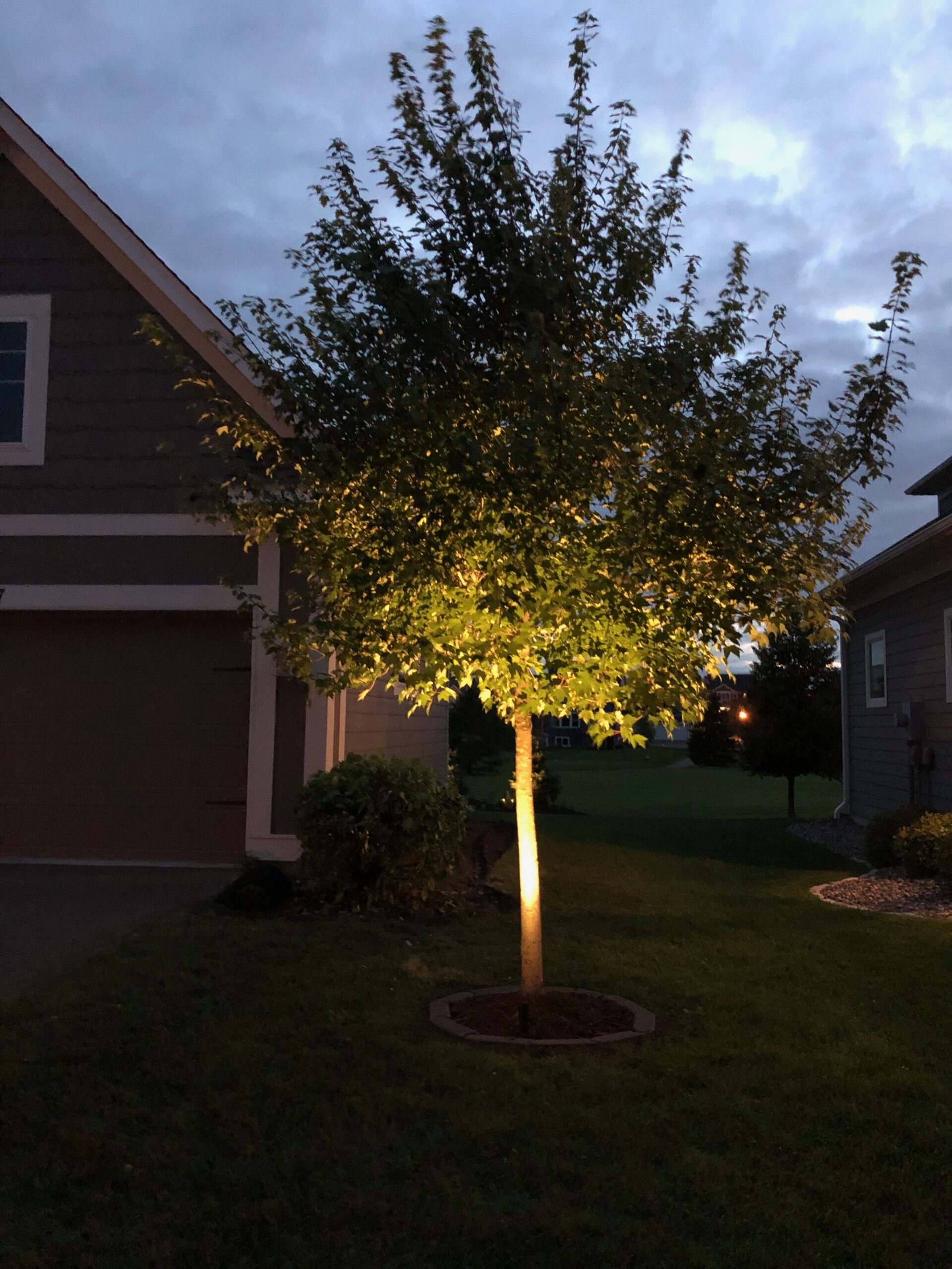 Landscape lighting by North Ridge Outdoor Services