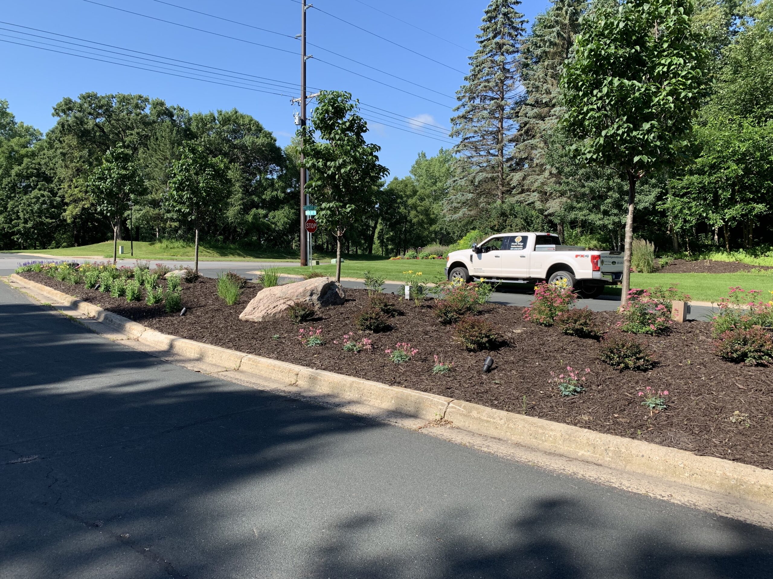Planting and garden design by North Ridge Outdoor Services