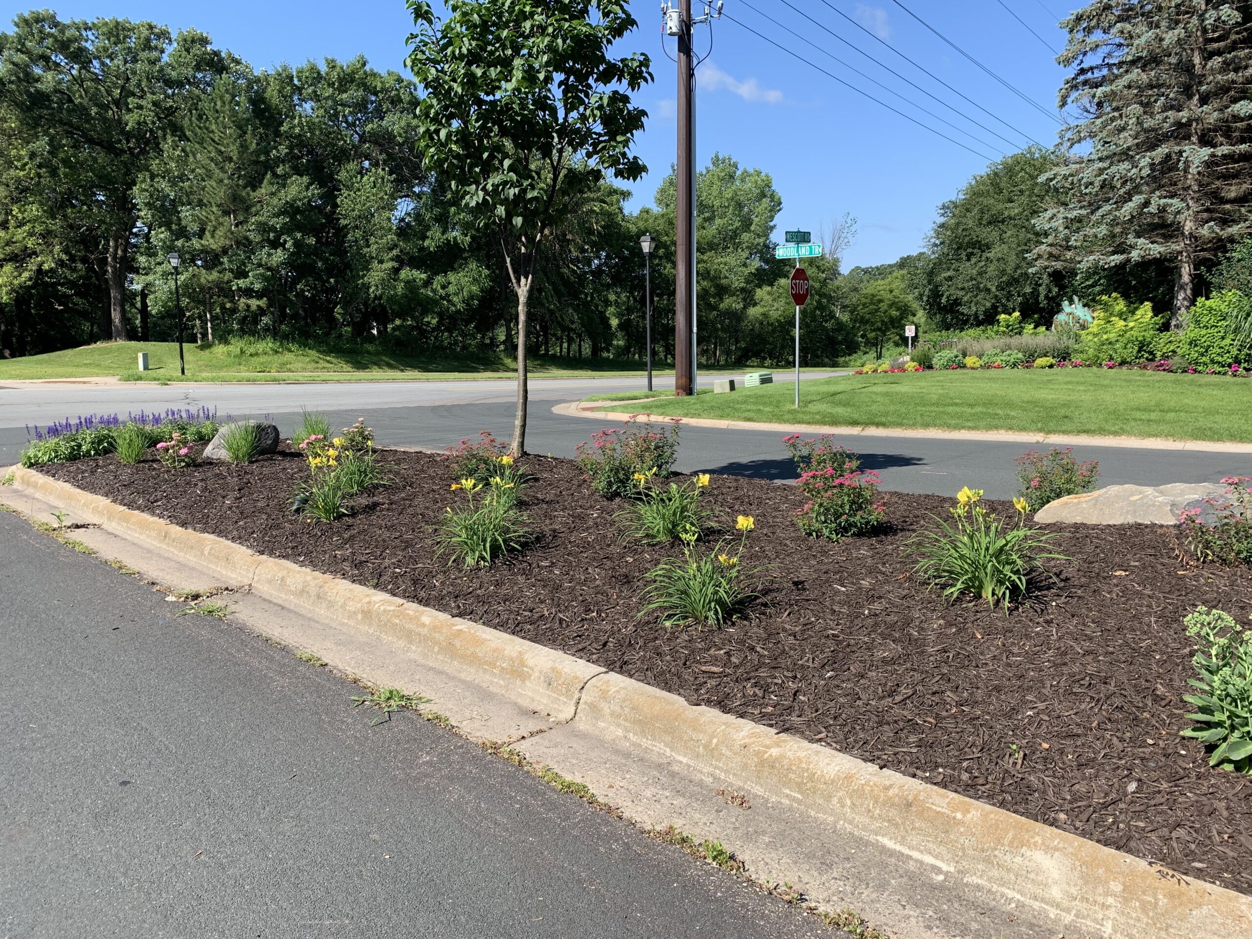 Planting and garden design by North Ridge Outdoor Services