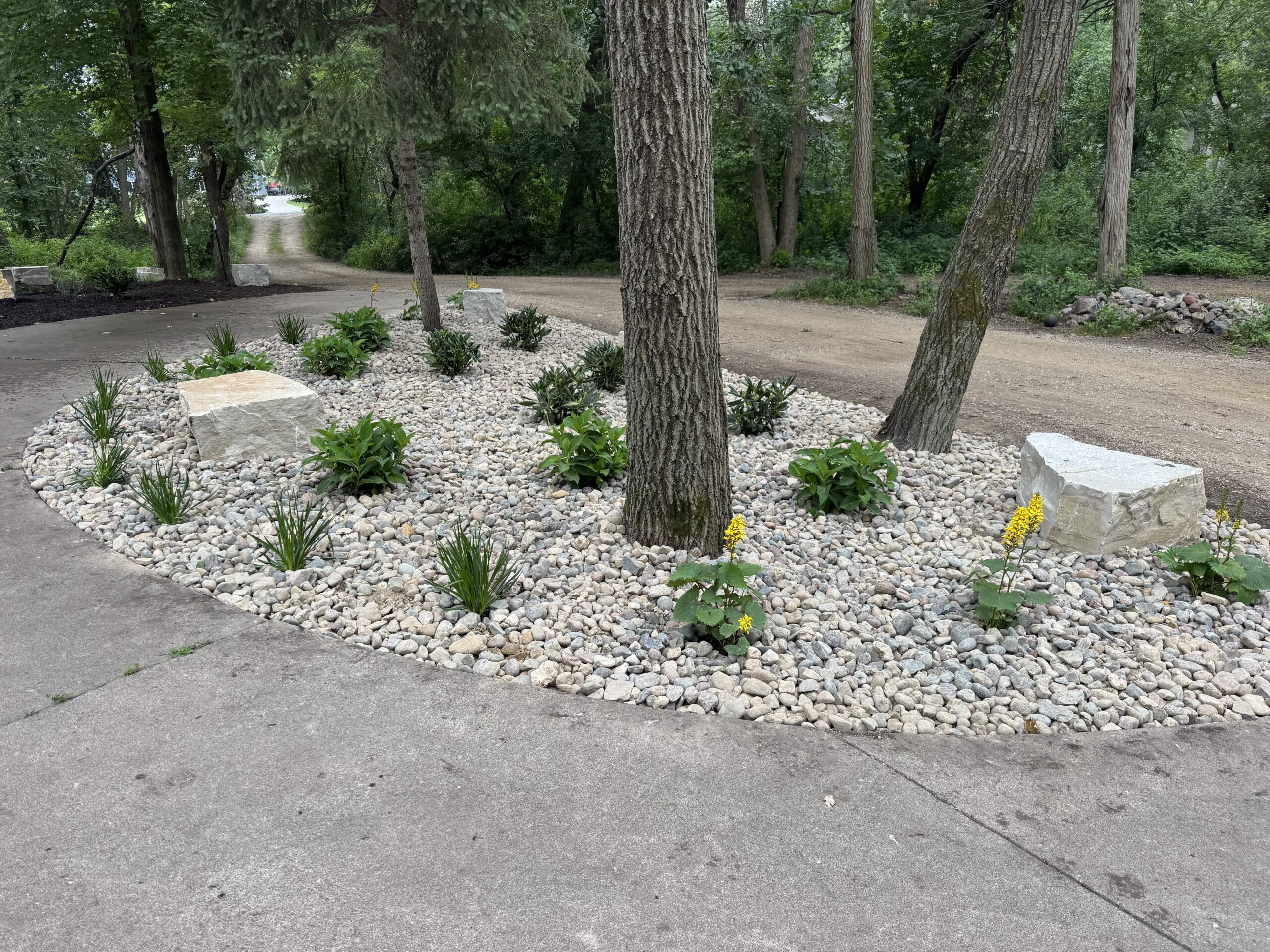 Planting and garden design by North Ridge Outdoor Services